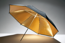 GGodox UB-003 Black and Gold Umbrella (101cm) 