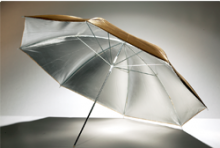 Godox UB-007 Gold and Silver Umbrella (101cm)