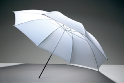 Godox UB-008 permatomas skėtis (84cm)