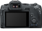 Canon EOS R8 + Adapter EF-EOS-R