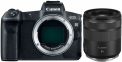 Canon EOS R Body + RF 85mm F2 MACRO IS STM 