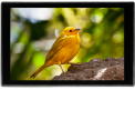 Portkeys HD7T 1000nits 7 ″ DSLR Camera Monitor Screen with HDMI Input