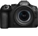 Canon EOS R6 Mark III + RF 24-105mm F4-7.1 IS STM