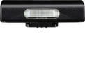 Ricoh blykstė GF-2 WW