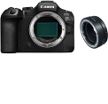 Canon EOS R6 Mark III body + Adapter EF-EOS-R