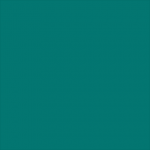 Superior popierinis fonas 1,35x11m Spruce 