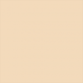 Superior popierinis fonas 1,35x11m Fawn 