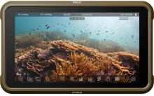 Atomos monitorius Ninja     