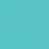 Superior popierinis fonas 1,35x11m Alpine 