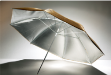 Godox UB-007 Gold and Silver Umbrella (84cm)