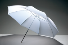 Godox UB-008 Translucent Umbrella (101cm)