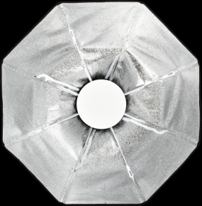 Profoto OCF Beauty Dish Silver 2"