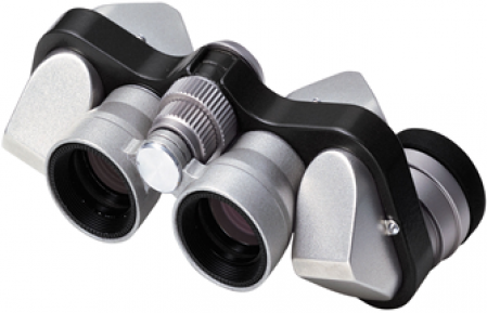 Nikon žiūronai 6x15MCF silver