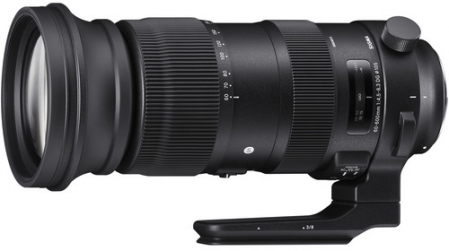 Sigma 60-600mm f/4.5-6.3 DG OS HSM [Sport] (Nikon)