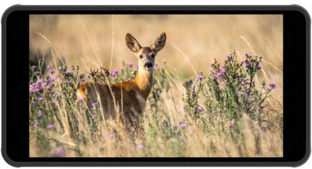 Portkeys PT5 II 5-inch 4K HDMI Touchscreen Monitor