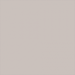 Superior popierinis fonas 2,72x11m Dull Aluminum
