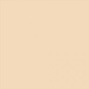 Superior popierinis fonas 2,72x11m Fawn