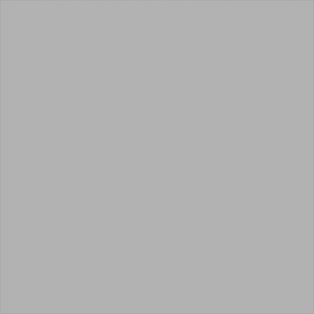 Superior popierinis fonas 2,72x11m Fossil Gray