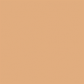 Superior popierinis fonas 2,72x11m Pongee   