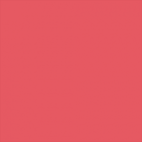 Superior popierinis fonas 2,72x11m Watermelon