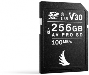 Angelbird atminties kortelė SD 256GB AV PRO V30