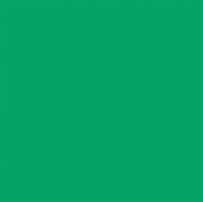 Superior popierinis fonas 1,35x11m Chroma Green