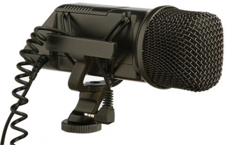 Rode Mikrofonas Stereo VideoMic