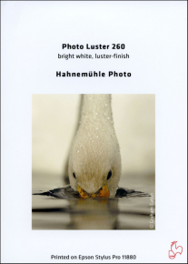 Hahnemühle popierius Luster 260, 10x15 cm/50