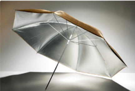 Godox UB-007 Gold and Silver Umbrella (84cm)
