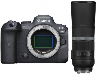 Canon EOS R6 Body + RF 800mm F11 IS STM 