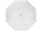 Profoto Umbrella Shallow Translucent S (85cm/33