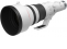Canon objektyvas RF 800mm F5.6L IS USM