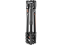 Manfrotto trikojis BEFREE MKBFRLA-BH