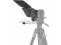SmallRig 3646 Multifunctional Teleprompter