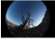 Sony objektyvas FE 8-14mm F3.5 Fisheye G