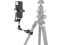 Vanguard tvirtinimas Clamp VEO CP-46