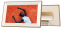 Lexar Pexar skaitmeninis fotorėmelis 15.6-inch I Full HD/16:9 WiFi Built-in 64GB Starlight